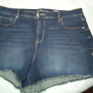 Torrid Shorts NWT sz 16
